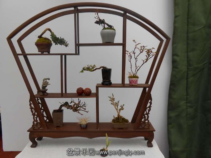 DSCN0707 (800x600).jpg