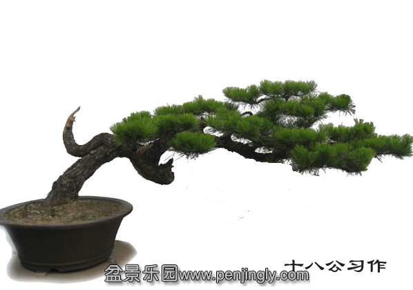 QQͼ20140226160329.png