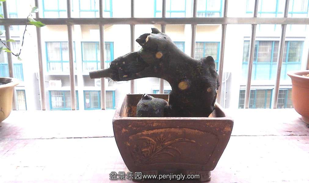 IMG0226115300.jpg