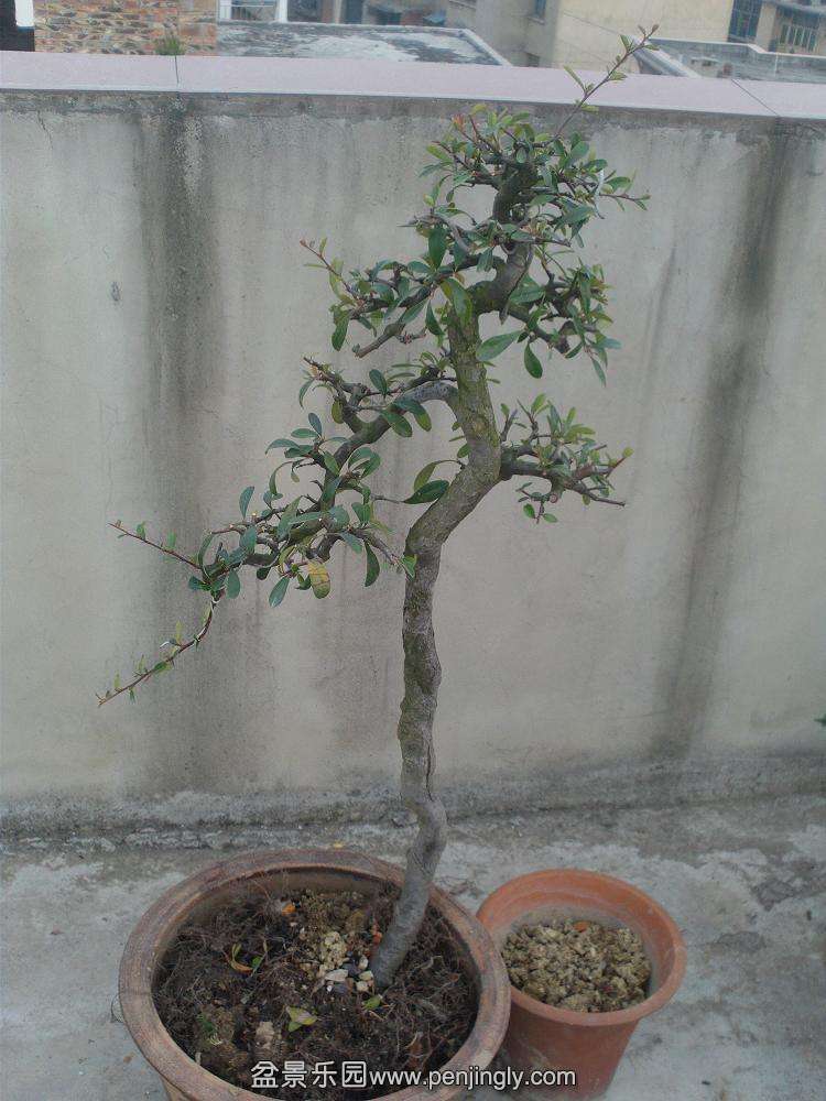 HPIM0424.JPG