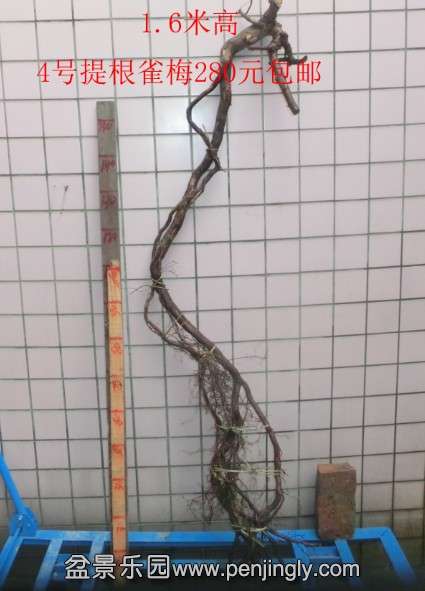 QQͼƬ20140226181310.jpg