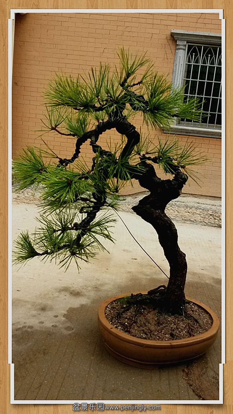 2014-02-25 11.02.10_����.jpg