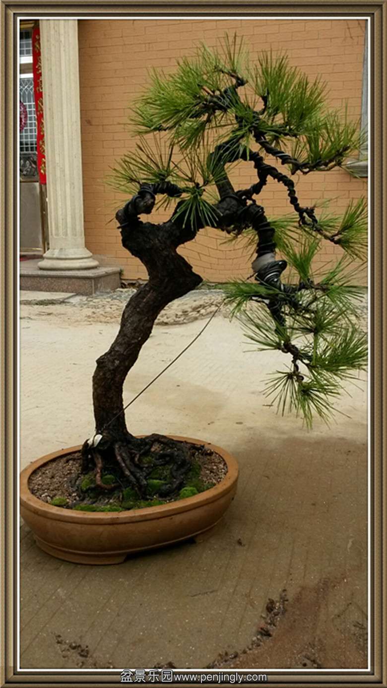 2014-02-25 11.03.44_����.jpg