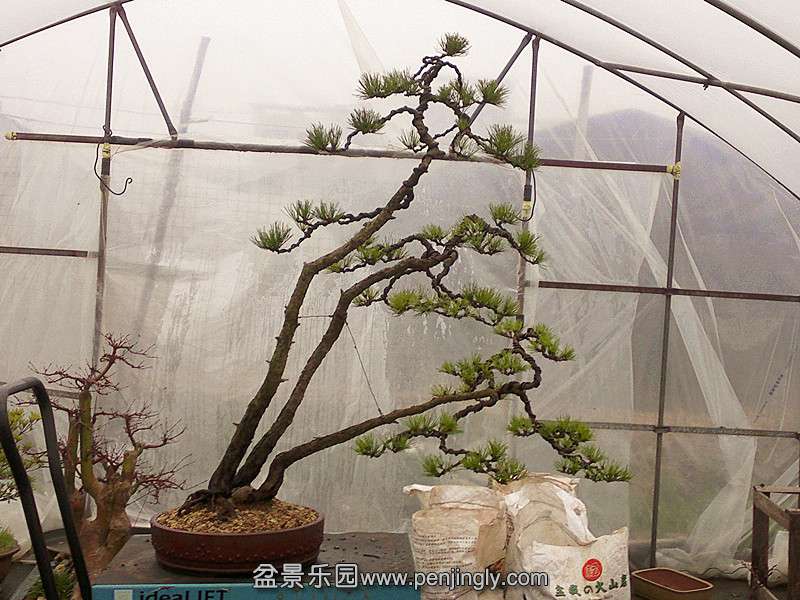 20140227808_.jpg