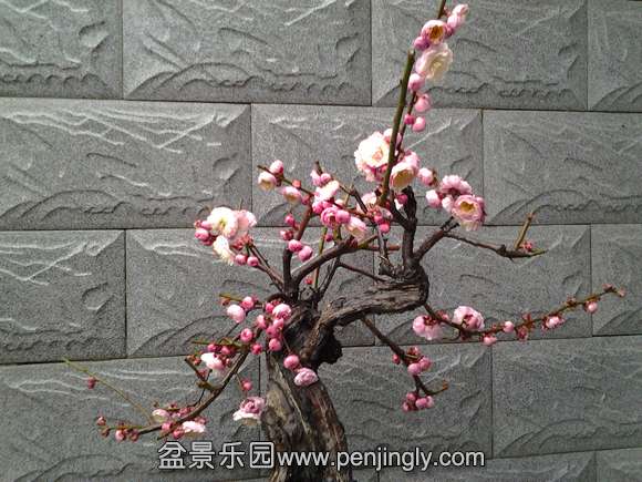 20140225_091242.jpg