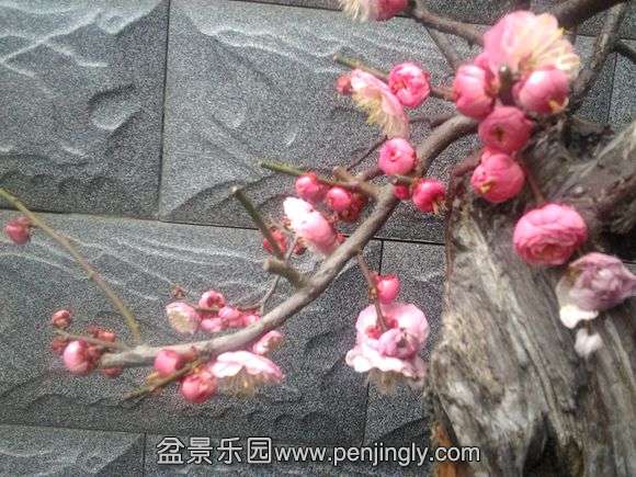 20140227_130702.jpg
