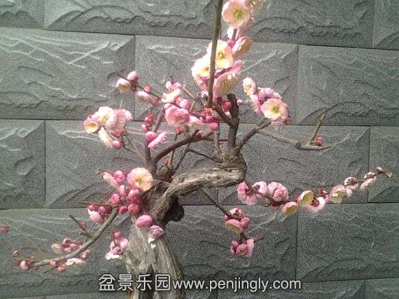 20140227_130708.jpg