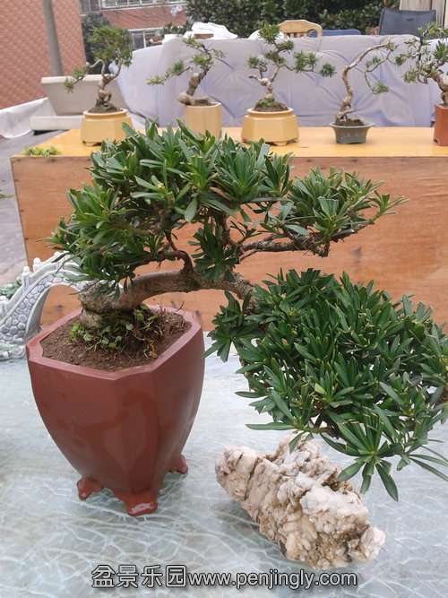 2014-02-27 13.39.22.jpg