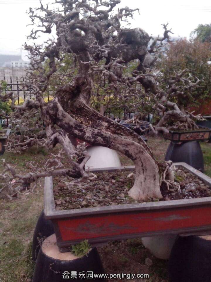 QQͼƬ20140228150017.jpg