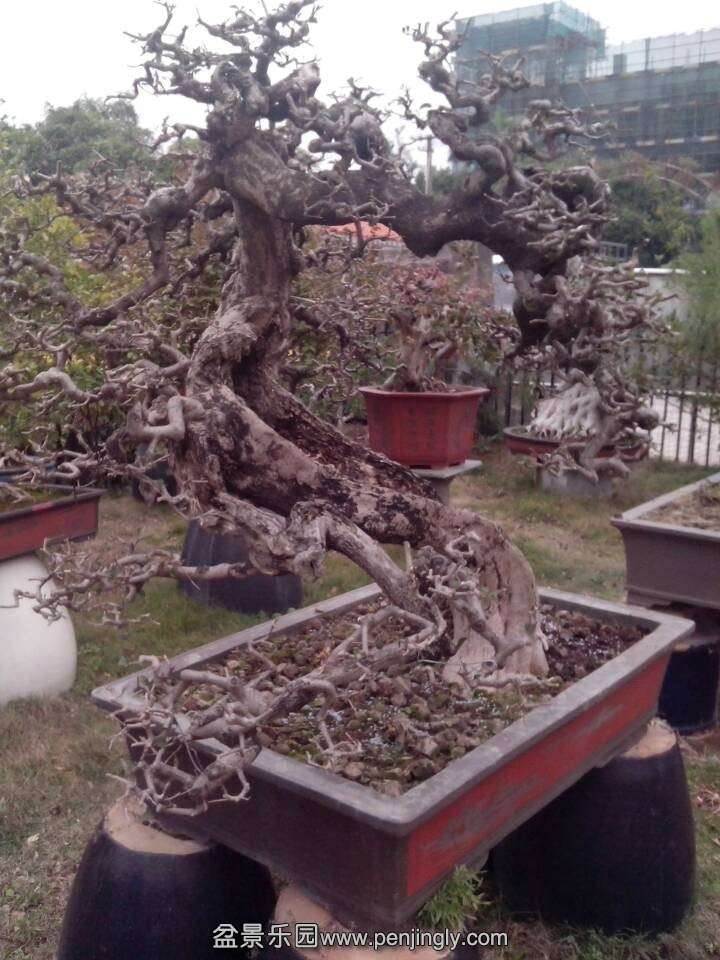 QQͼƬ20140228150025.jpg