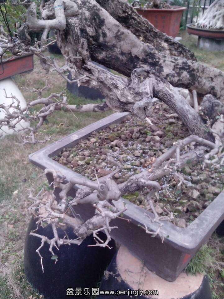 QQͼƬ20140228150039.jpg