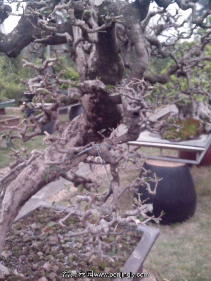 QQͼƬ20140228150048.jpg