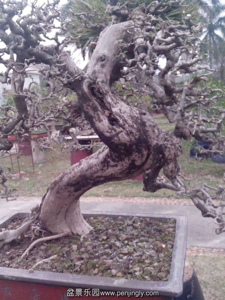 QQͼƬ20140228150102.jpg