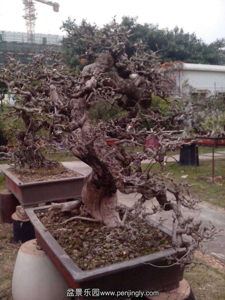QQͼƬ20140228150114.jpg