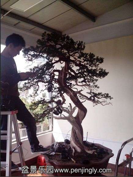 QQͼƬ20140228151824.jpg