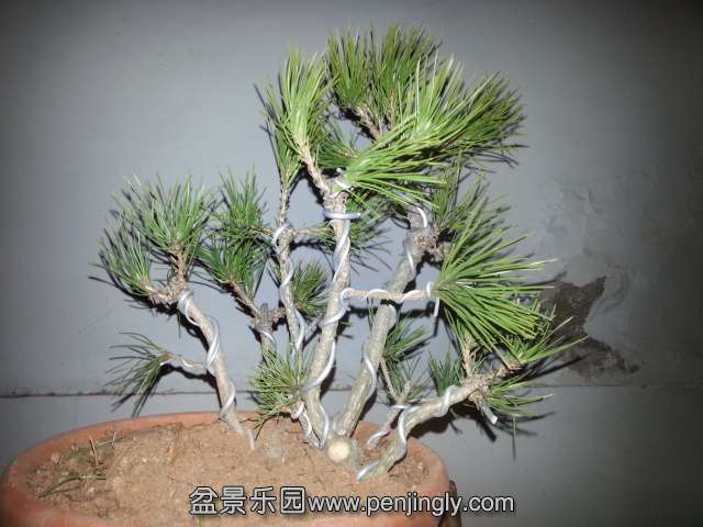 20140220_185707.jpg