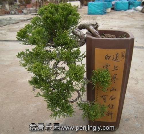 QQͼƬ20140301200711.jpg