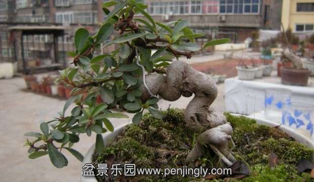 QQͼƬ20140301200425.jpg
