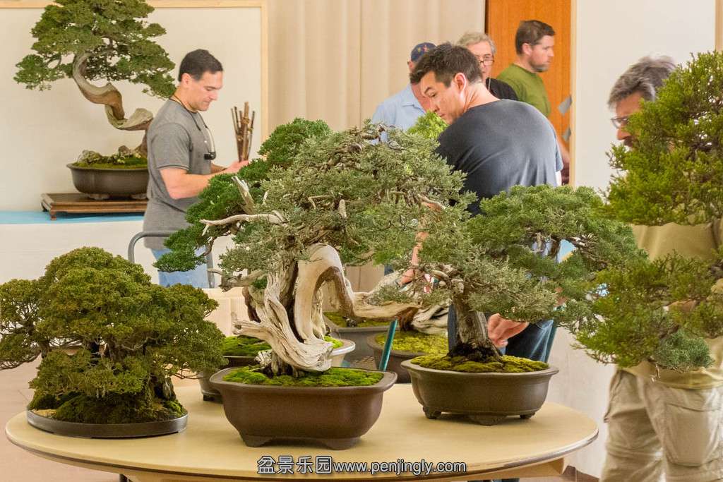 20140117-25-bib-XL.jpg