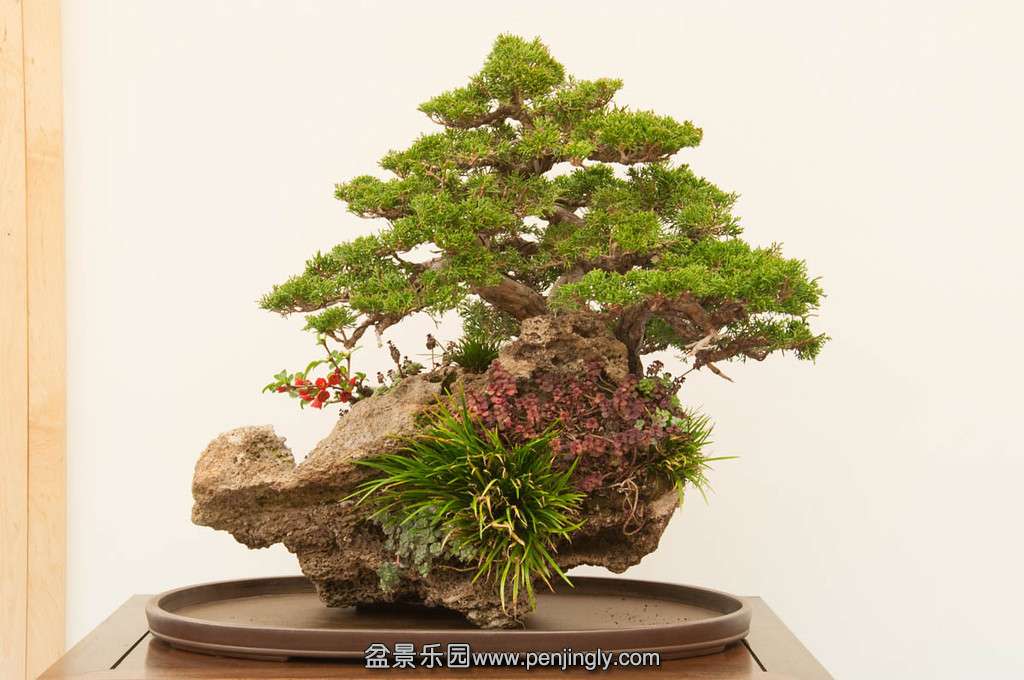 20140119-29-bib-XL.jpg