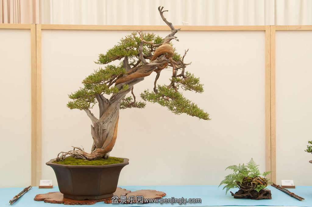 20140119-36-bib-XL.jpg
