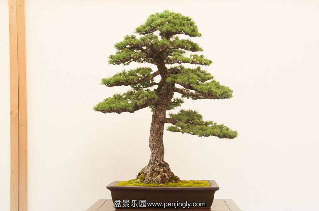 20140119-78-bib-XL.jpg