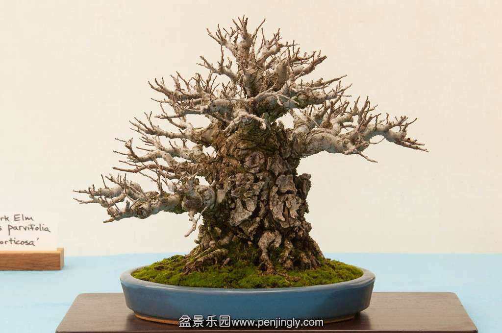 20140119-111-bib-XL.jpg