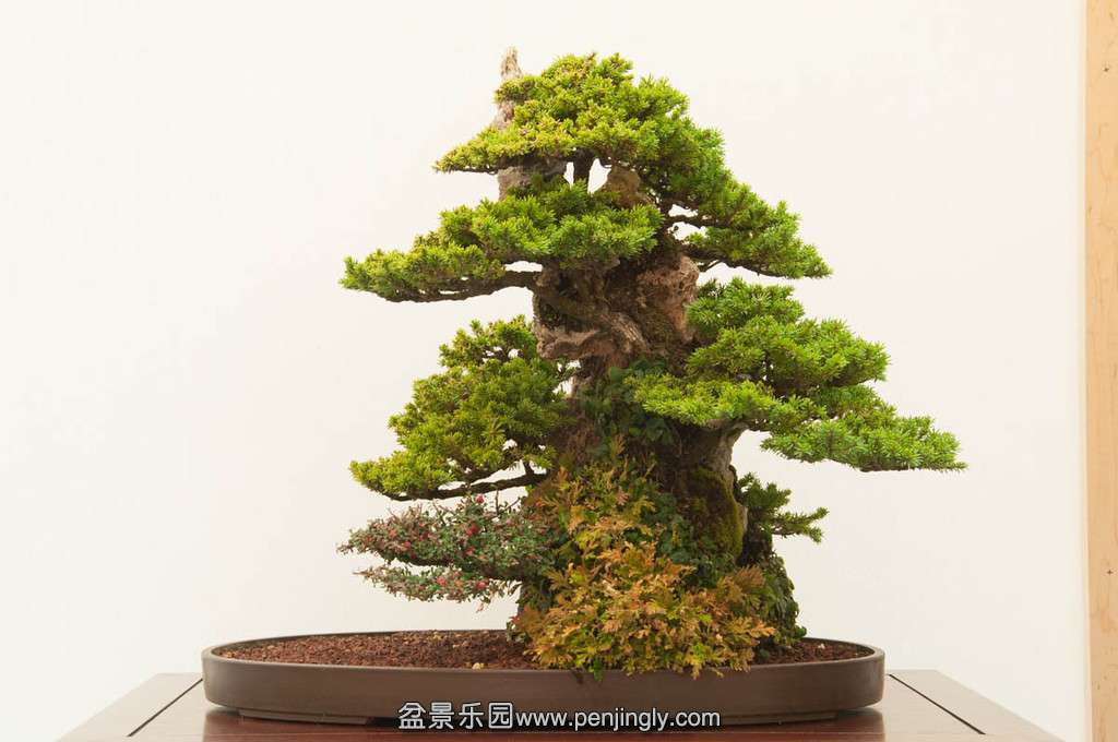20140119-126-bib-XL.jpg