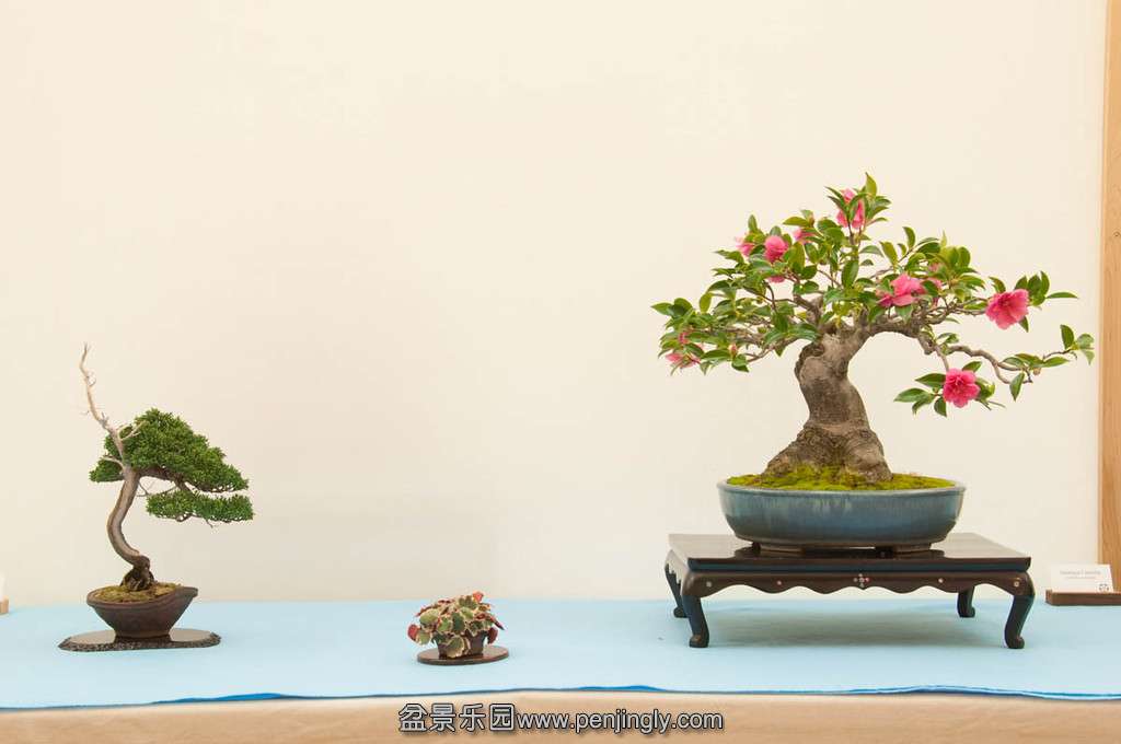 20140119-131-bib-XL.jpg