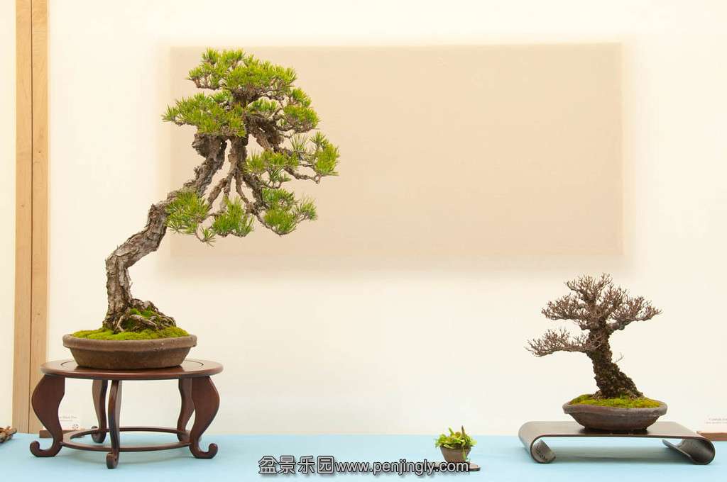 20140119-132-bib-XL.jpg