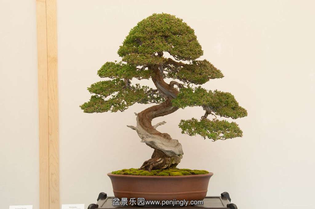 20140119-155-bib-XL.jpg