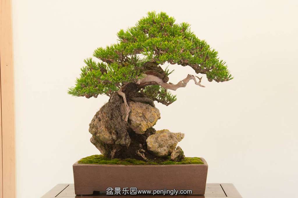 20140119-175-bib-XL.jpg