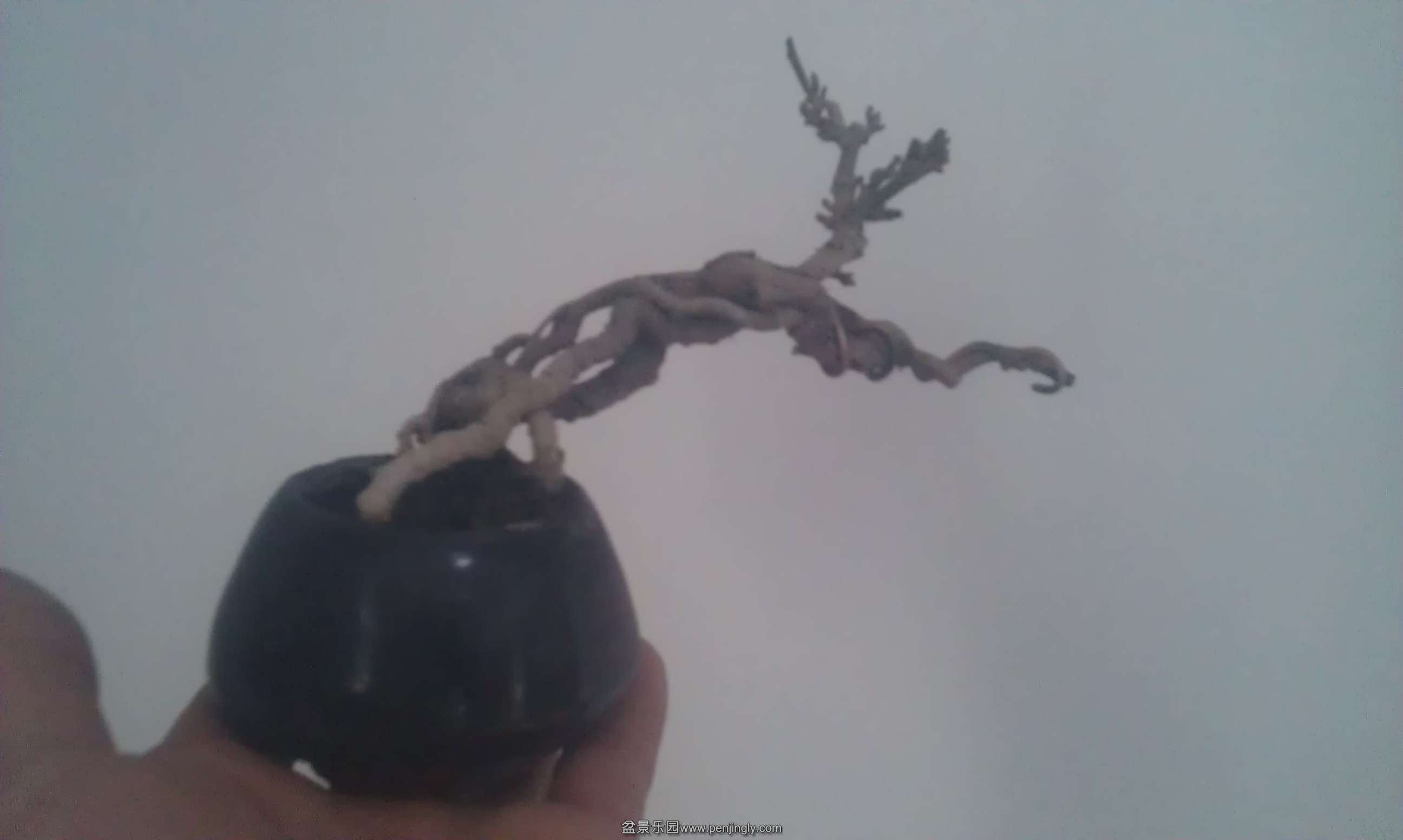 IMAG1040.jpg