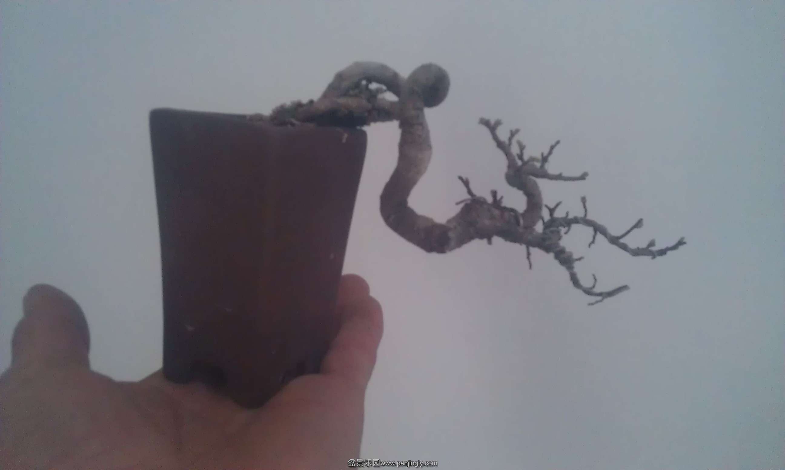 IMAG1043.jpg