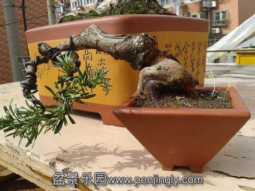 2014-03-02 14.13.59.jpg