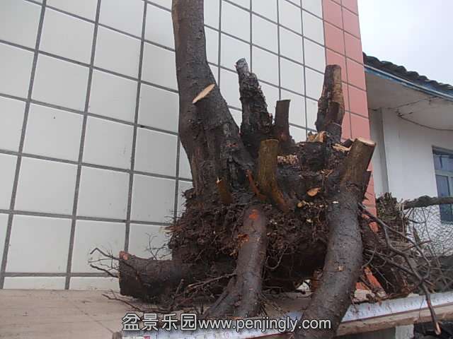 DSCN8998.JPG
