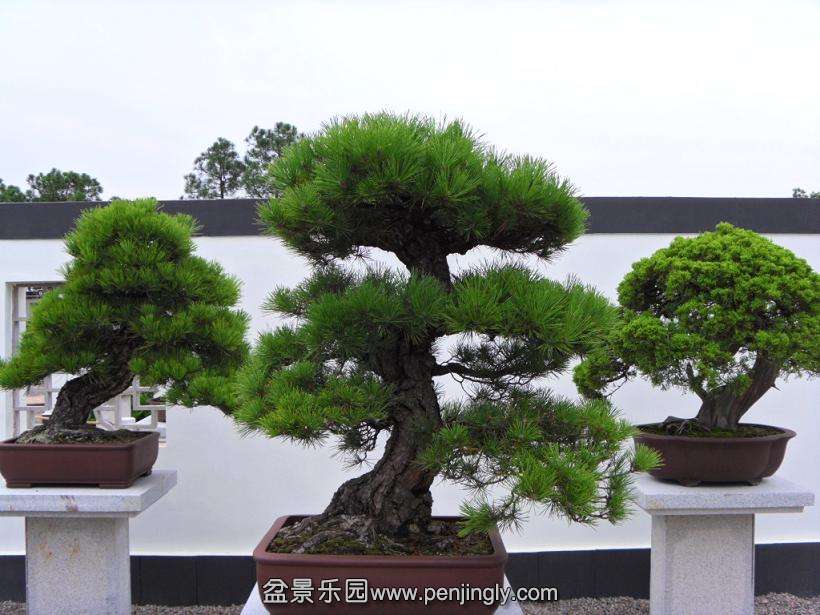 SDC12967.JPG