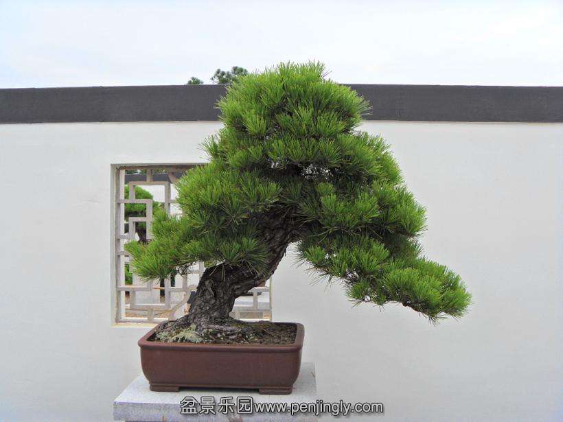 SDC12968.JPG