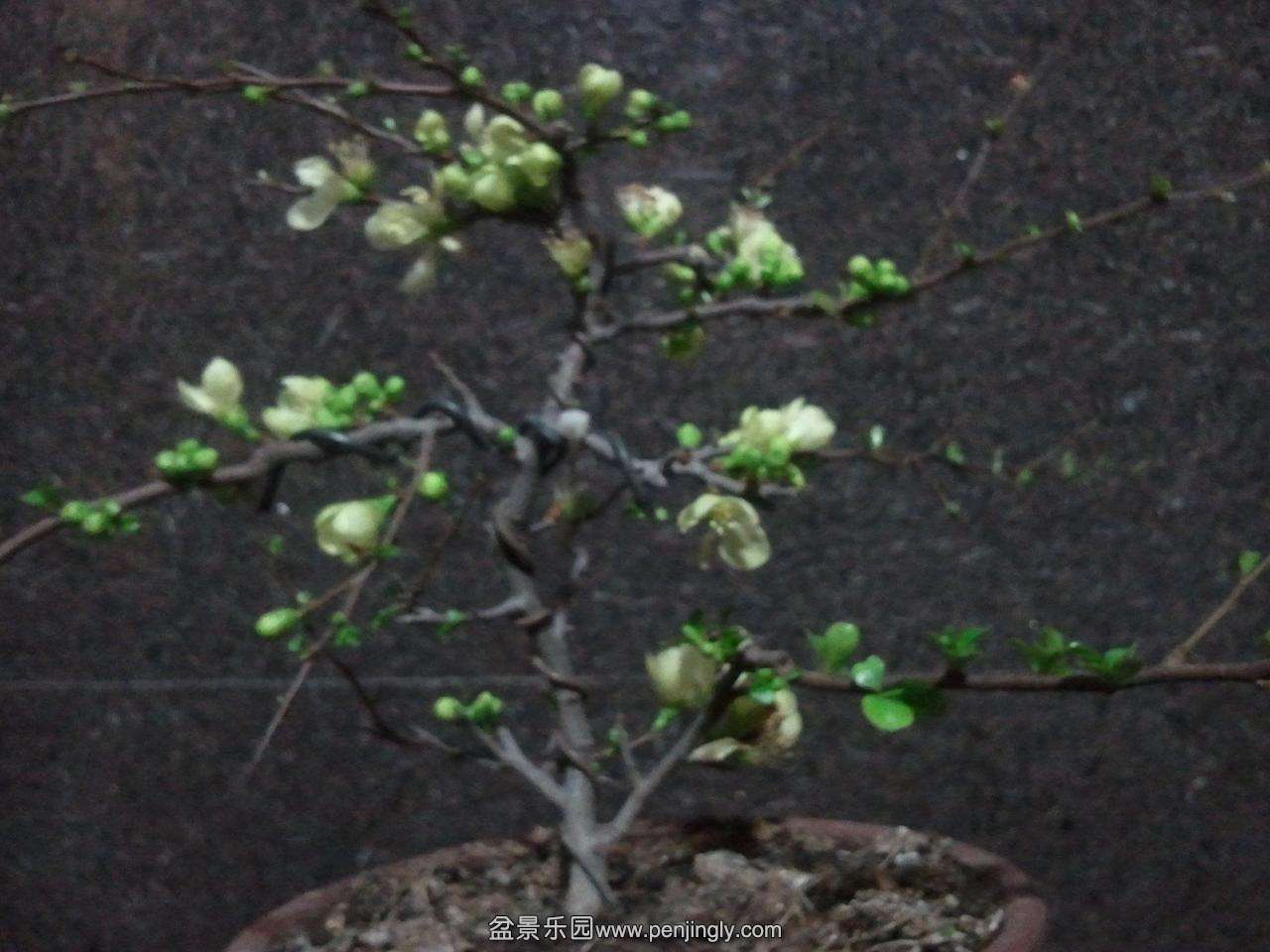 2014-03-03 19.37.34.jpg