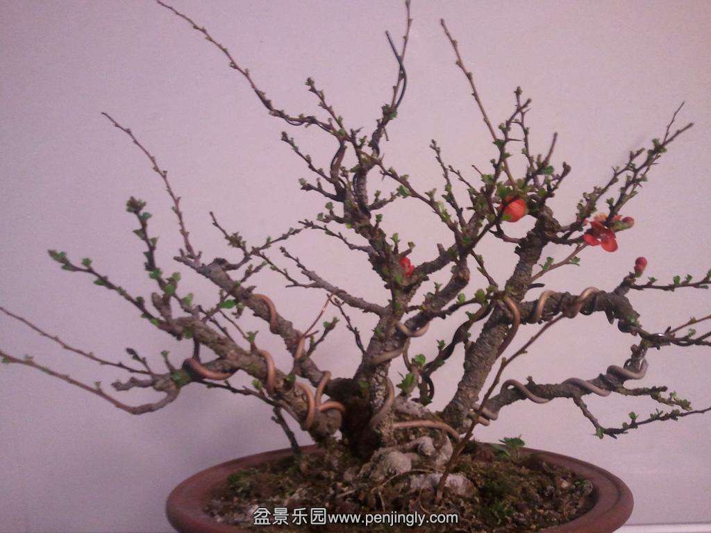 2014-03-03 19.43.22.jpg