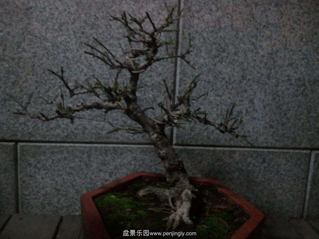 2014-03-03 19.55.36.jpg