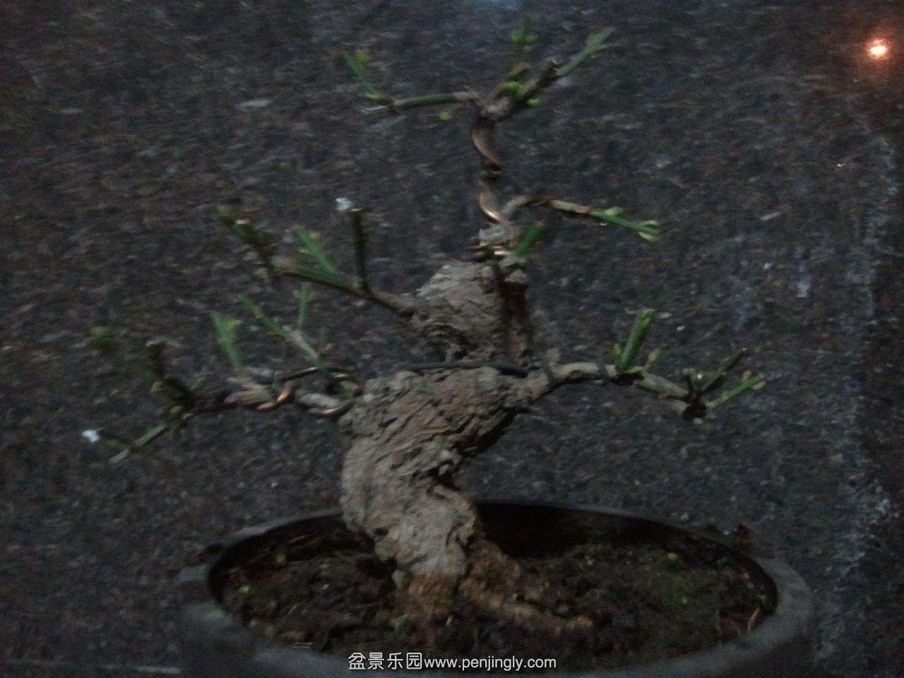 2014-03-03 20.01.44.jpg