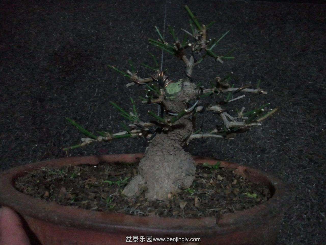 2014-03-03 20.03.33.jpg