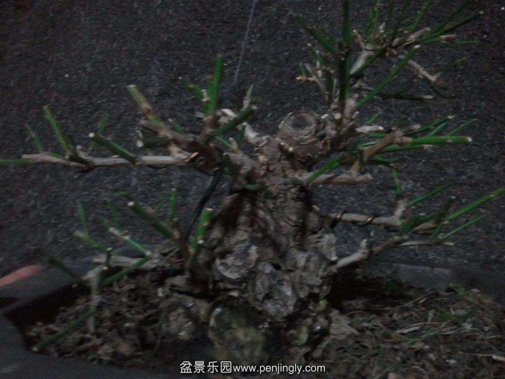 2014-03-03 20.04.47.jpg