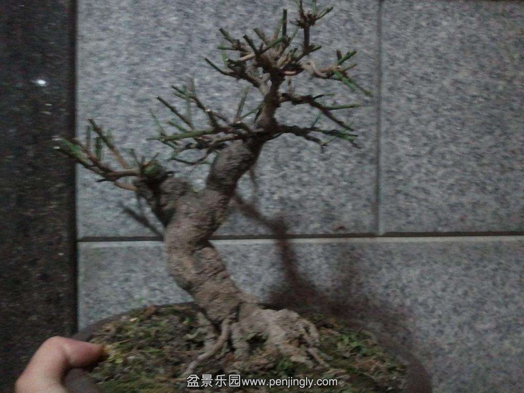 2014-03-03 20.07.49.jpg