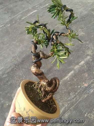 2014-03-05 14.33.39.jpg