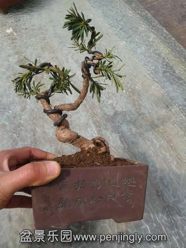 2014-03-07 12.34.19.jpg