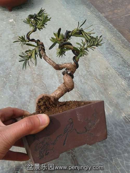 2014-03-07 12.34.36.jpg