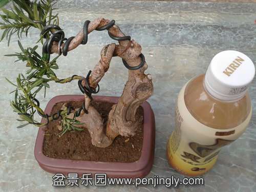 2014-03-07 12.43.57.jpg