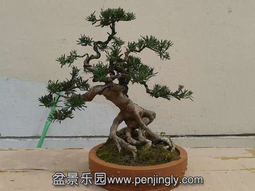 2014-03-07 12.53.46.jpg